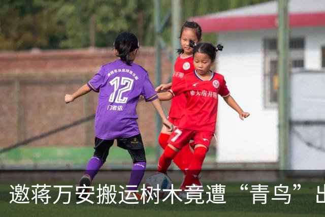 邀蒋万安搬运树木竟遭“青鸟”出征，清洁队长：我好内疚、很难过